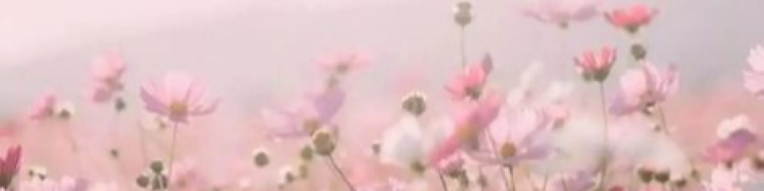 Duskyncurlystyleofficial